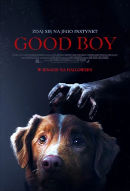 MARATON HALLOWEEN (GOOD BOY, MIASTECZKO SHELBY OAKS, STRANGERS 2)