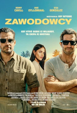 ZAWODOWCY 2D NAPISY