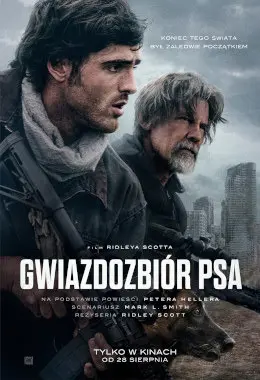 GWIAZDOZBIÓR PSA 2D NAPISY